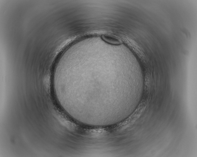 X0000114670112200911121341