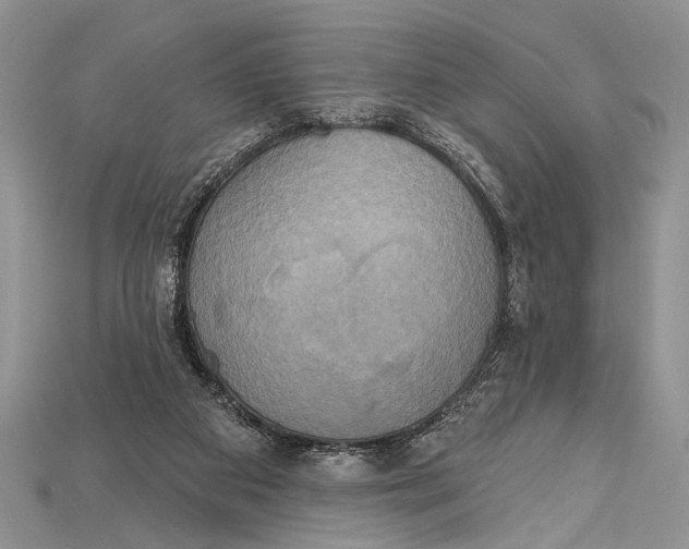 X0000114670113200911121341