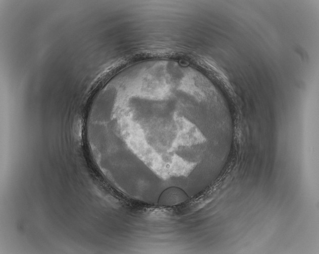 X0000114670115200911121341