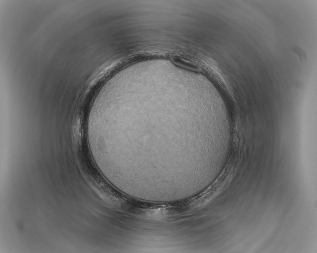 X0000114670116200911121341