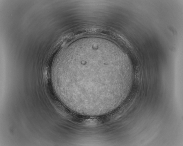 X0000114670119200911121341