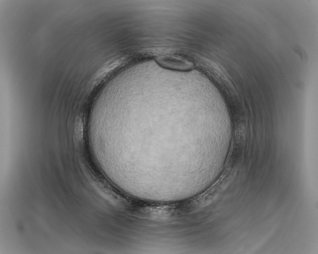 X0000114670120200911121341