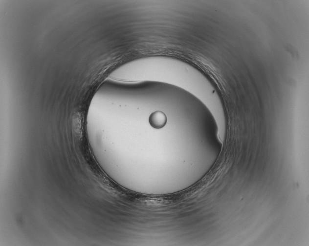 X0000114670121200911121341