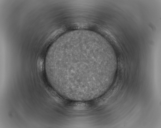 X0000114670123200911121341