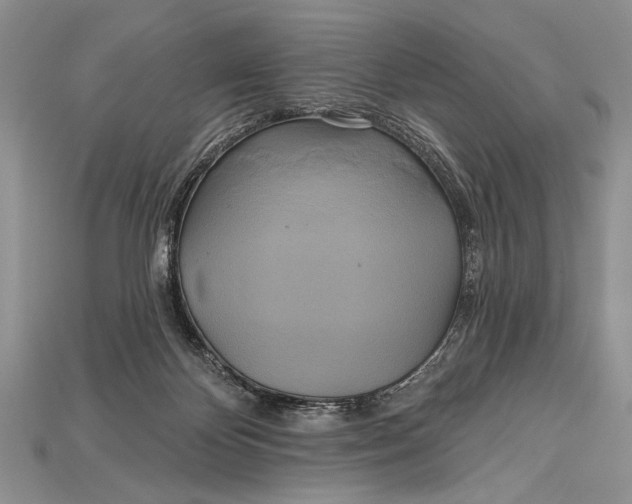 X0000114670124200911121341