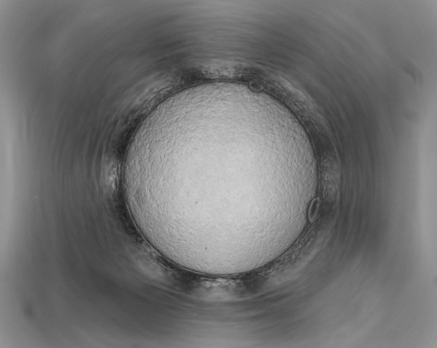 X0000114670125200911121341