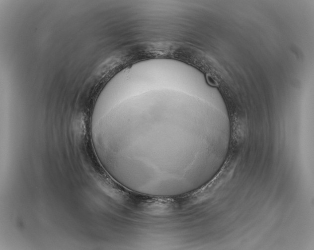 X0000114670128200911121340