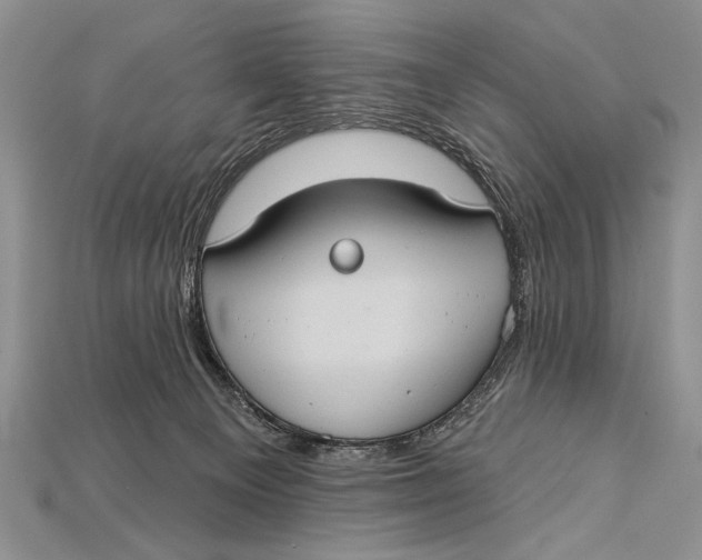 X0000114670129200911121340