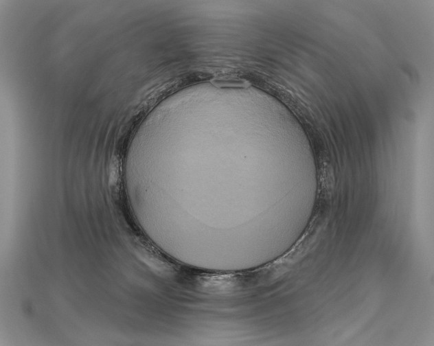 X0000114670132200911121340