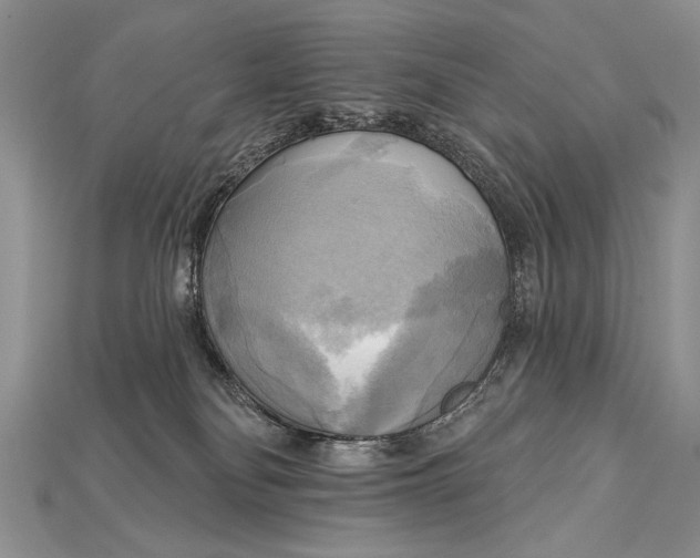 X0000114670134200911121340