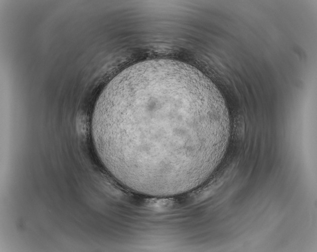 X0000114670135200911121340