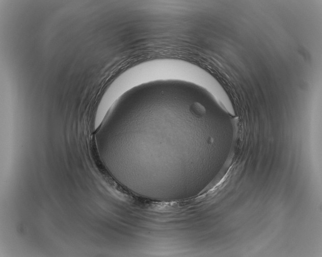 X0000114670136200911121340