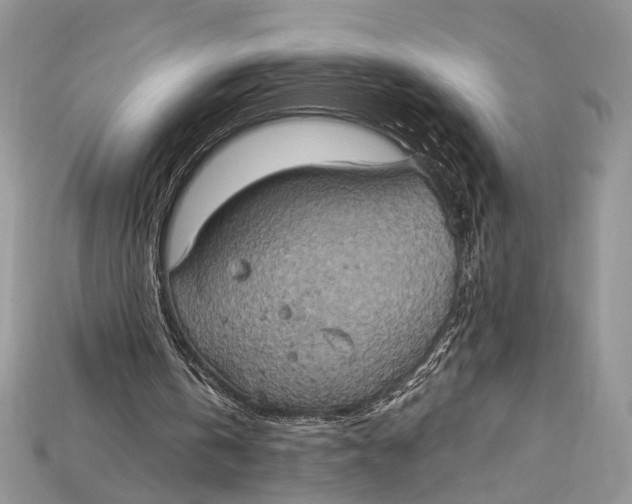 X0000114670146200911121340