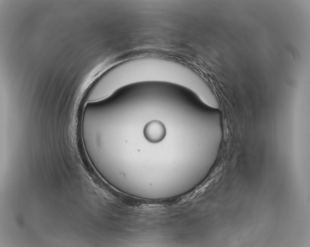 X0000114670150200911121340