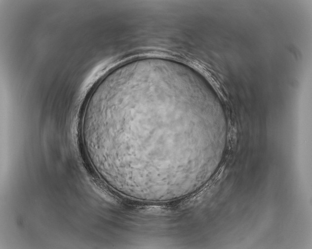 X0000114670151200911121340