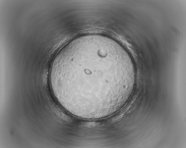 X0000114670153200911121340