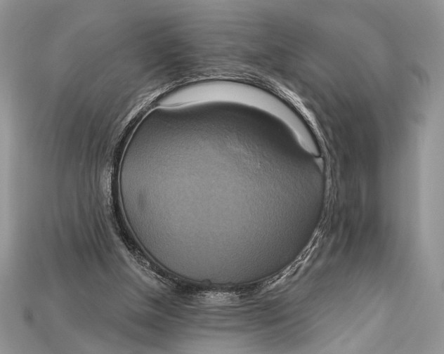 X0000114670154200911121340