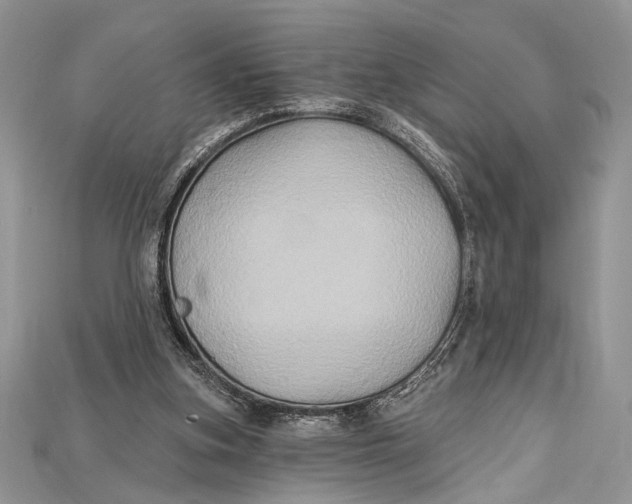 X0000114670155200911121340