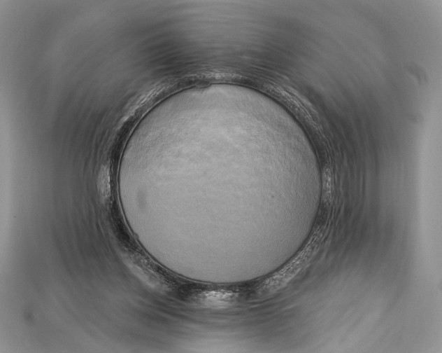 X0000114670158200911121340