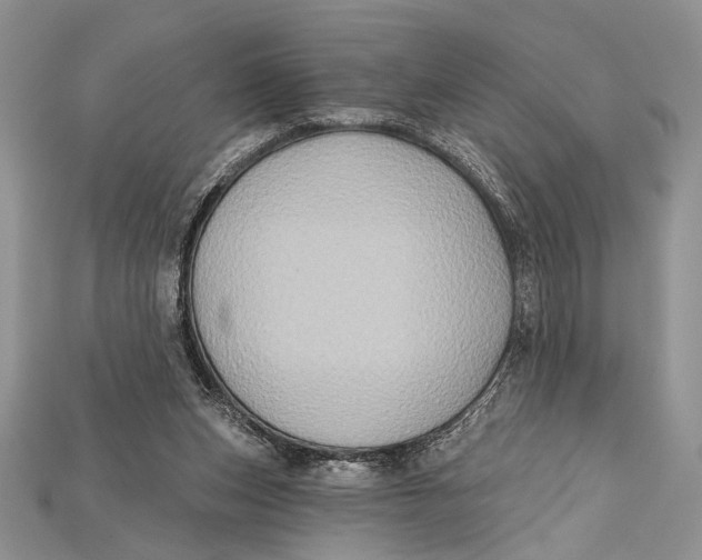 X0000114670159200911121340