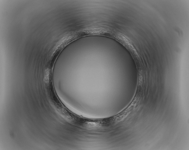 X0000114670167200911121340