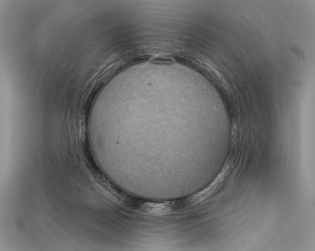 X0000114670170200911121340