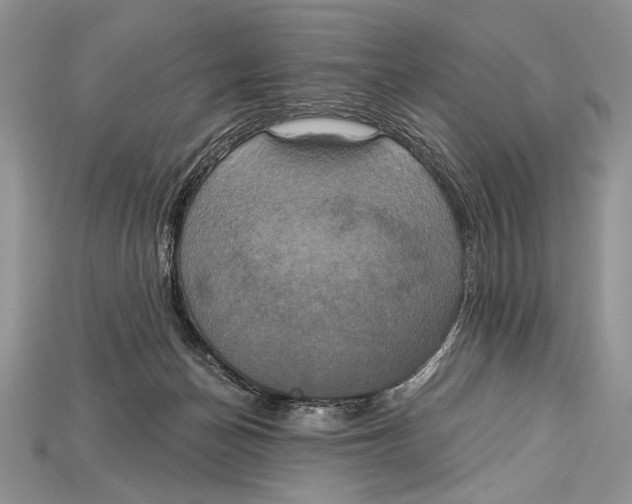 X0000114670174200911121340