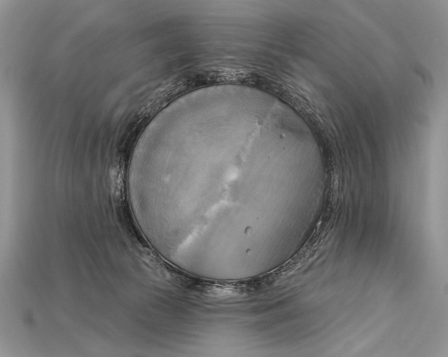 X0000114670177200911121340