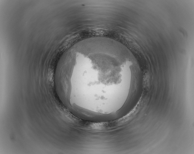 X0000114670178200911121340