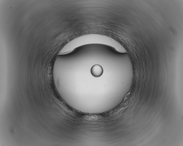 X0000114670181200911121340