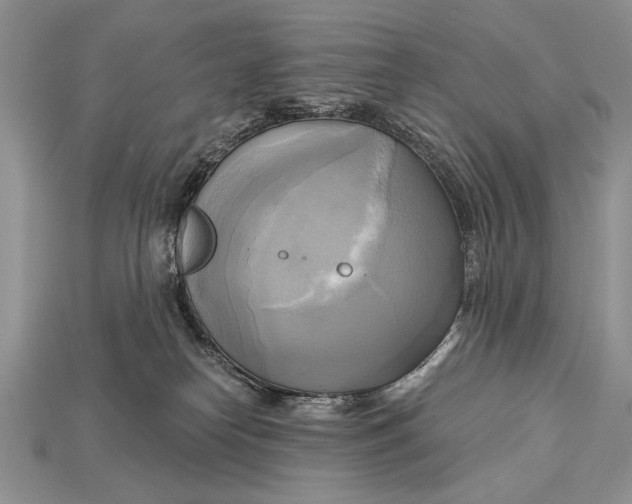 X0000114670182200911121340