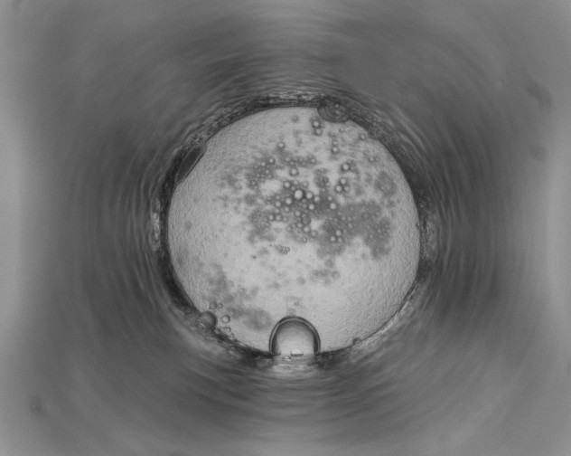 X0000114670183200911121340