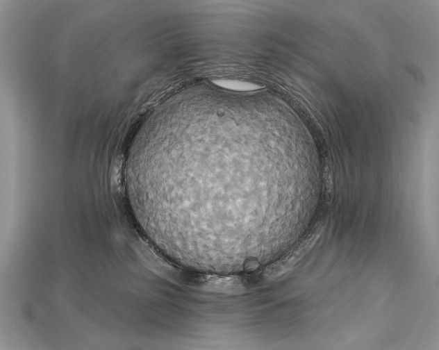 X0000114670185200911121340