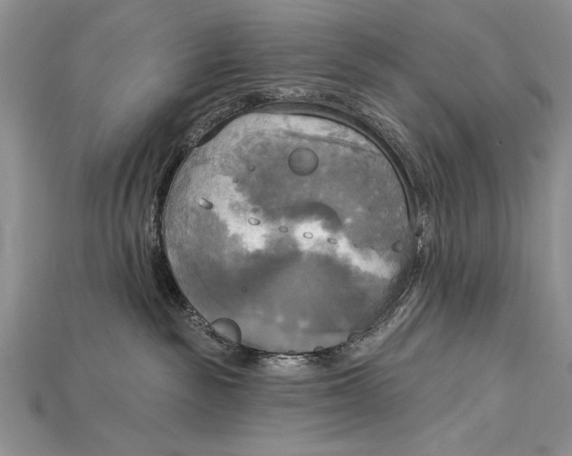 X0000114670189200911121340