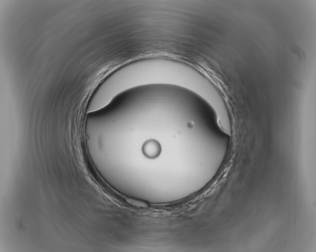 X0000114670193200911121339