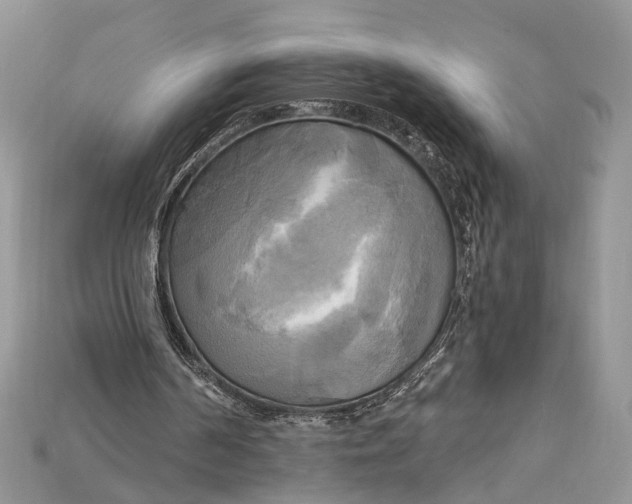 X0000114670194200911121339