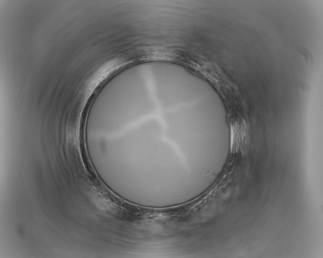 X0000114670195200911121339