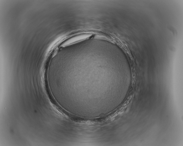 X0000114670197200911121339