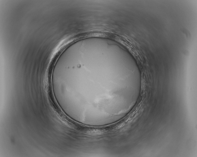 X0000114670198200911121339