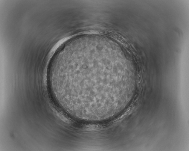 X0000114670200200911121339