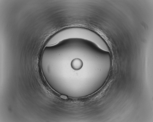 X0000114670201200911121339