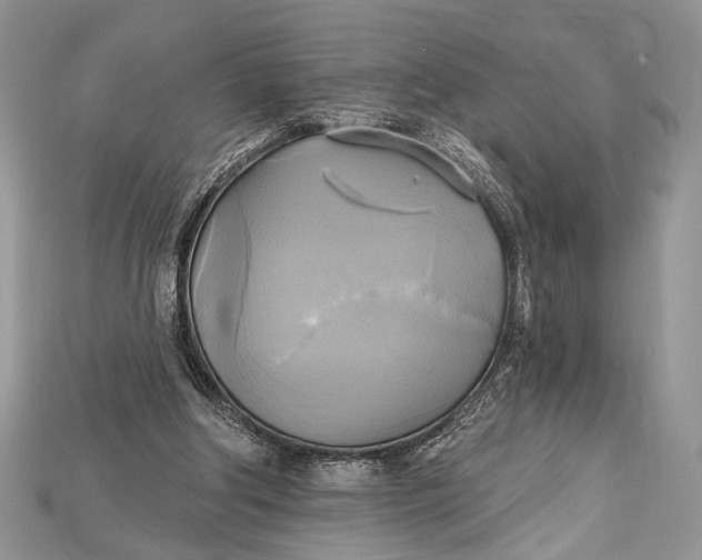 X0000114670202200911121339