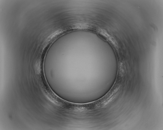 X0000114670203200911121339