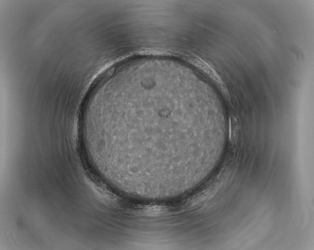 X0000114670204200911121339