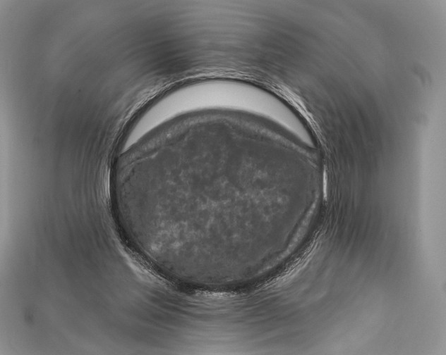 X0000114670205200911121339