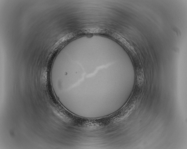 X0000114670207200911121339