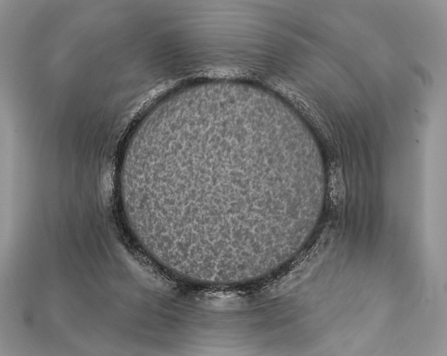 X0000114670208200911121339