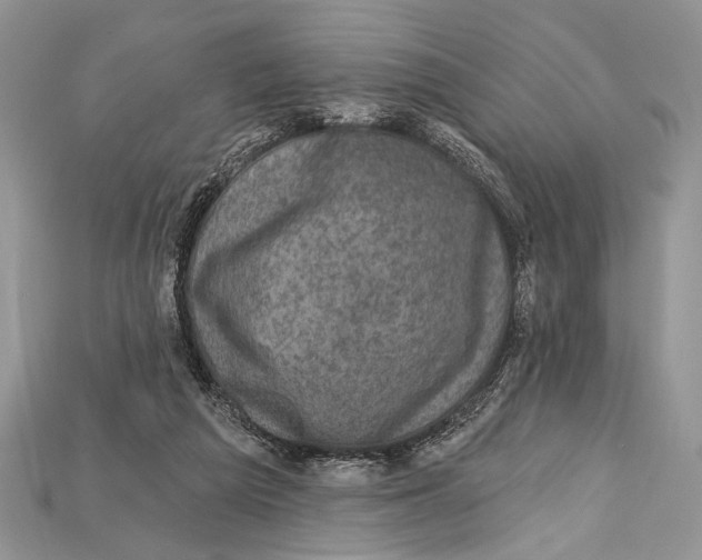 X0000114670209200911121339