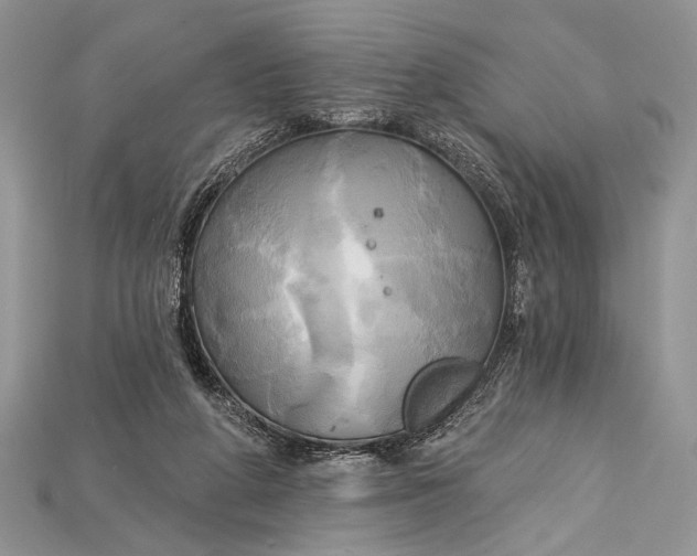 X0000114670210200911121339