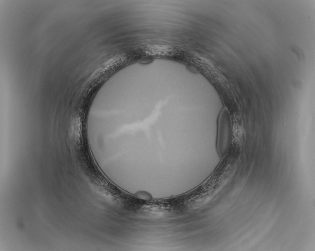 X0000114670211200911121339